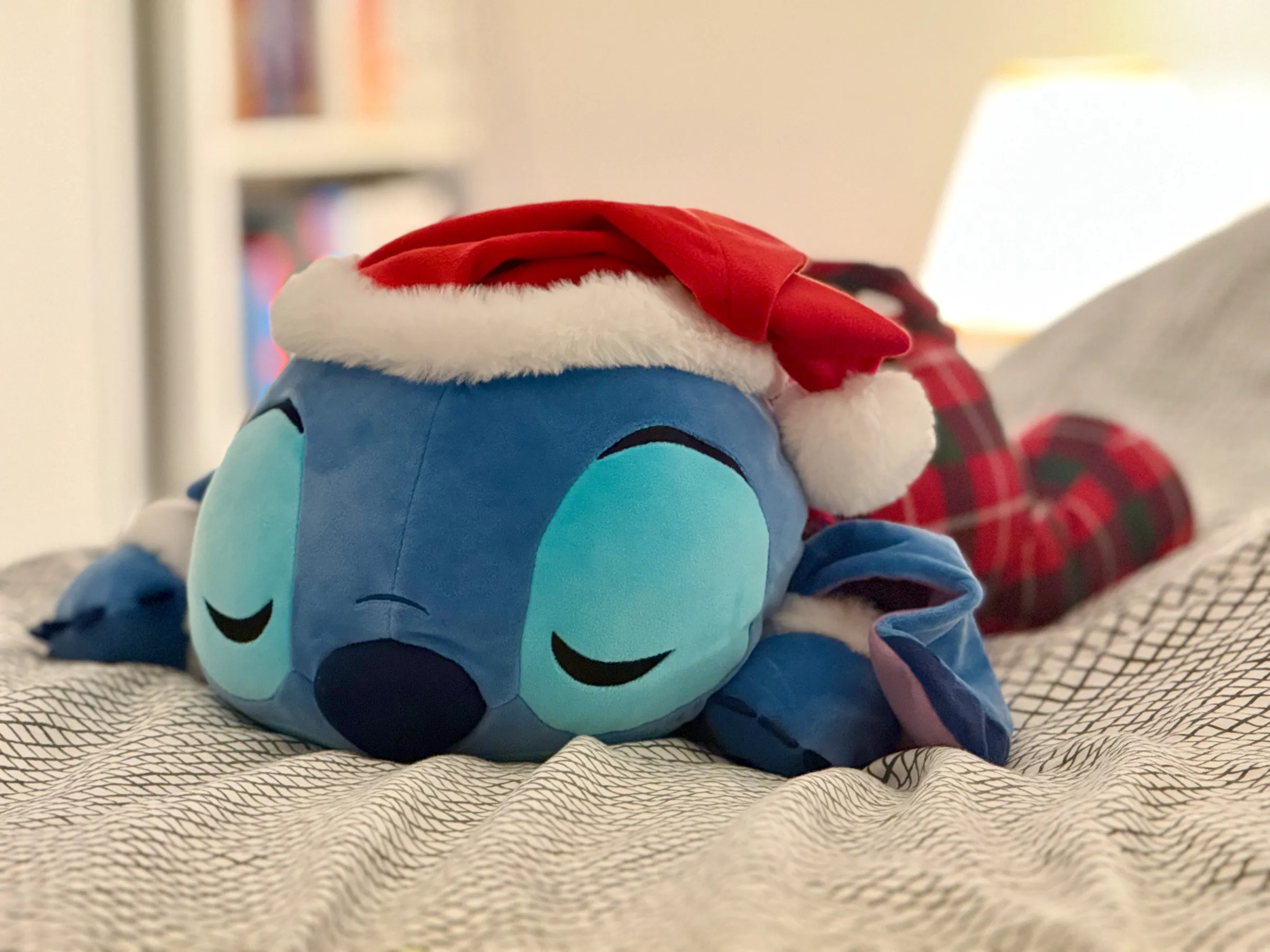 Home that evening, Nikola's Stitch wastes no time catching up on some well-earned beauty sleep.